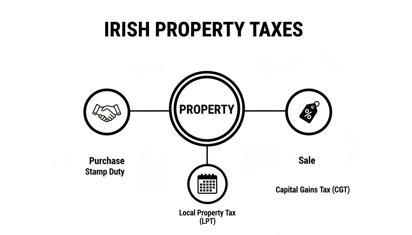 Diagram showing Irish property taxes, including purchase stamp duty, local property tax, and capital gains tax on sale.
