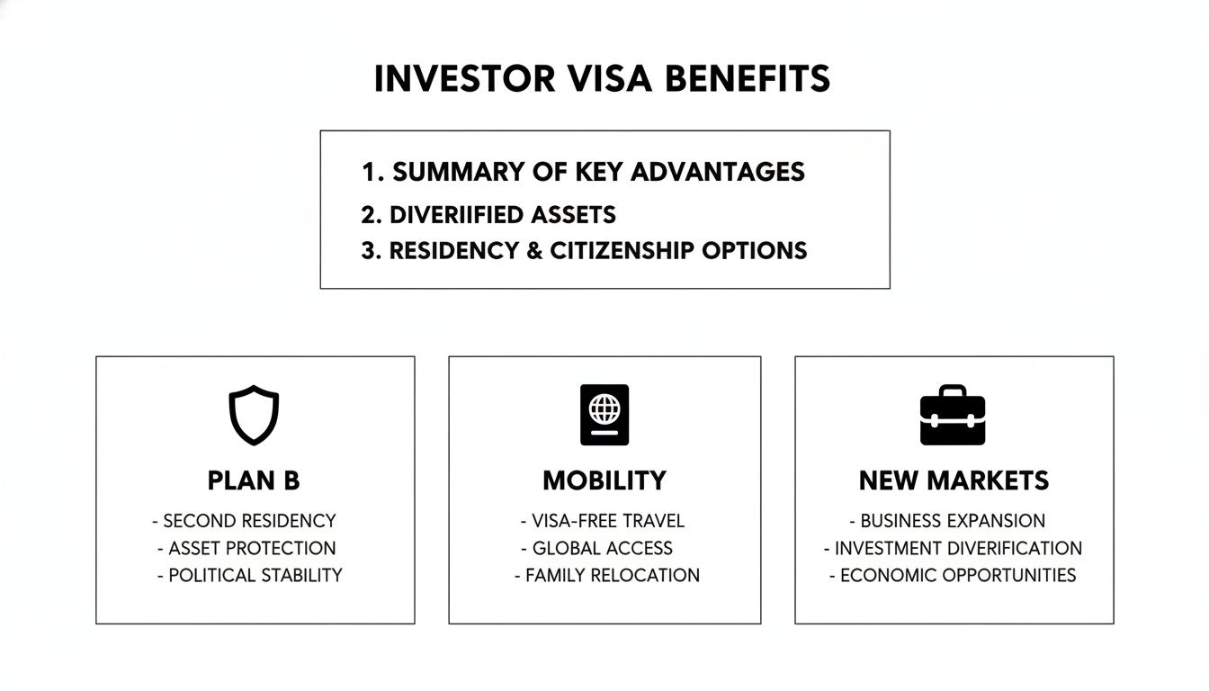 Investor visa benefits chart showing advantages like second residency, global mobility, and business expansion.