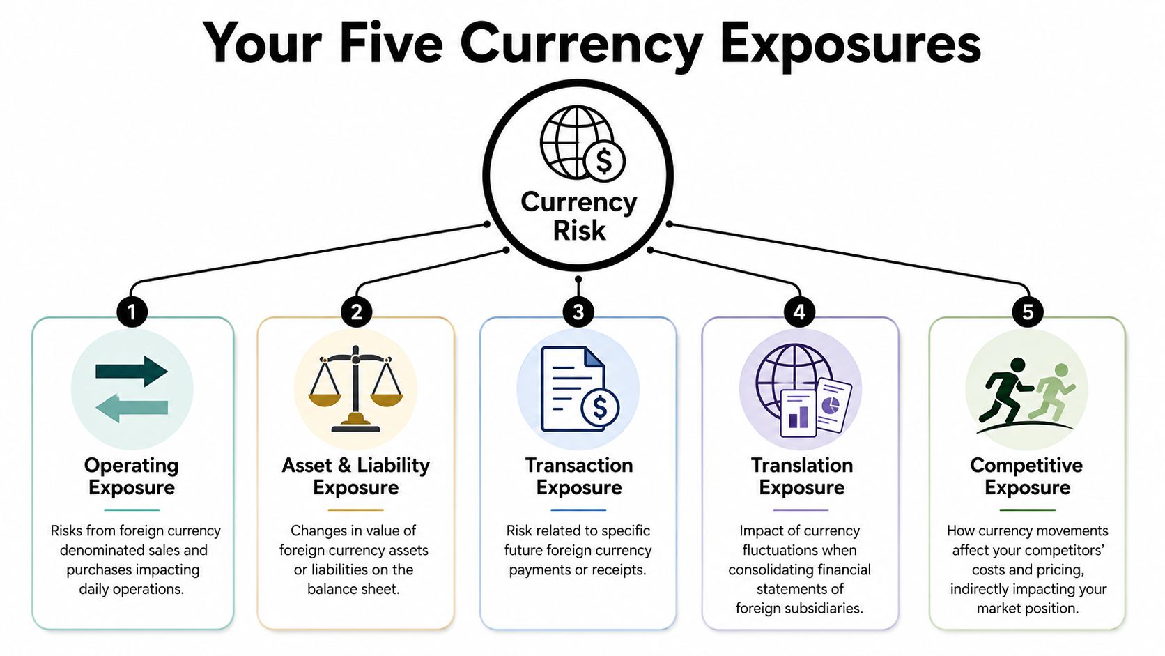 An infographic diagram explaining the five types of currency risk exposure for businesses and international financial operations.